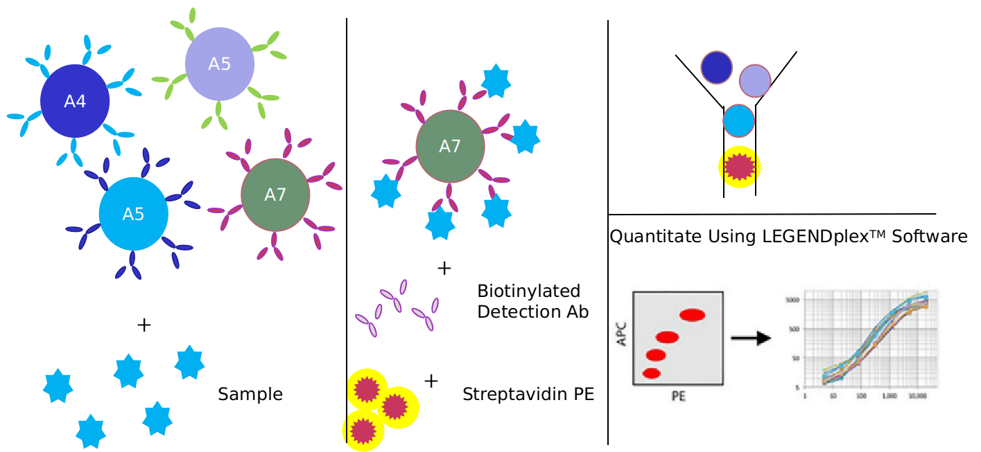 Advantages of actin dynamics signaling pathway detection