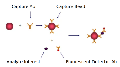 Angiogenesis Signaling Pathway Detection Service