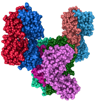 Human Cytokine Assay