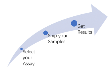 IL-31 Detection Service