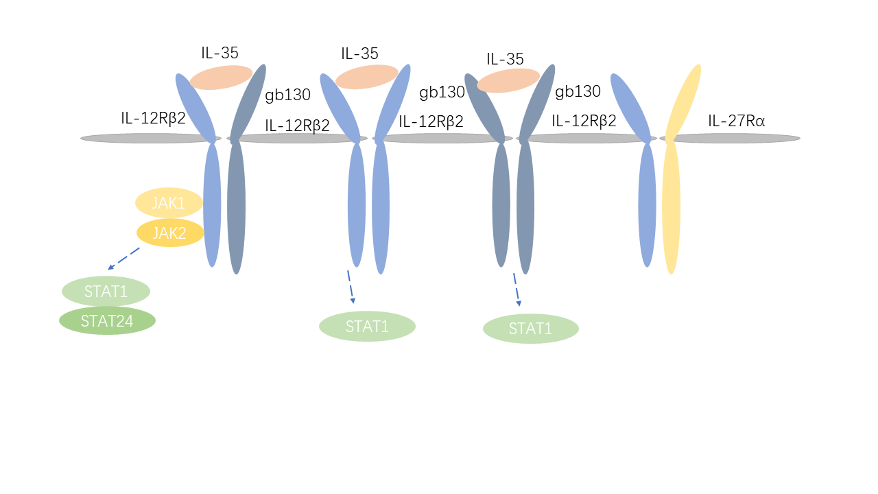 Mechanism of Signaling