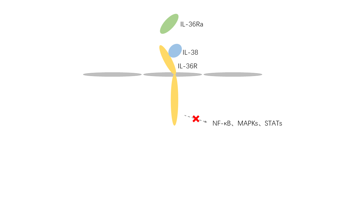 Mechanism of Signaling