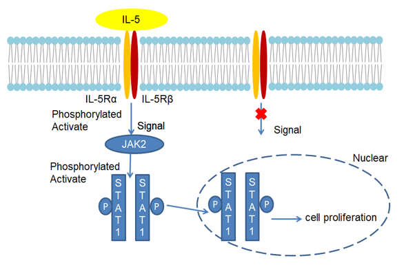 IL-5 Detection Service