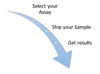 IL-6 Detection Service