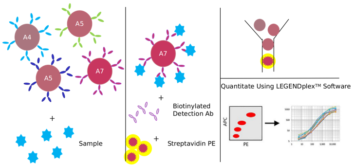 LRRK2 Signaling Pathway Detection Service