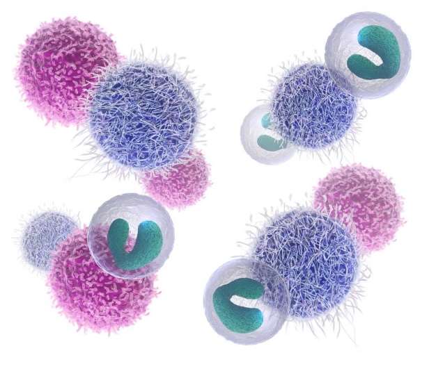 PBMC Cytokines