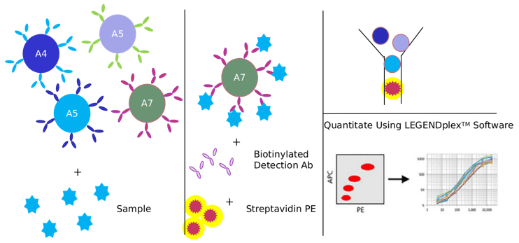 ROS1 Signaling Pathway Detection Service