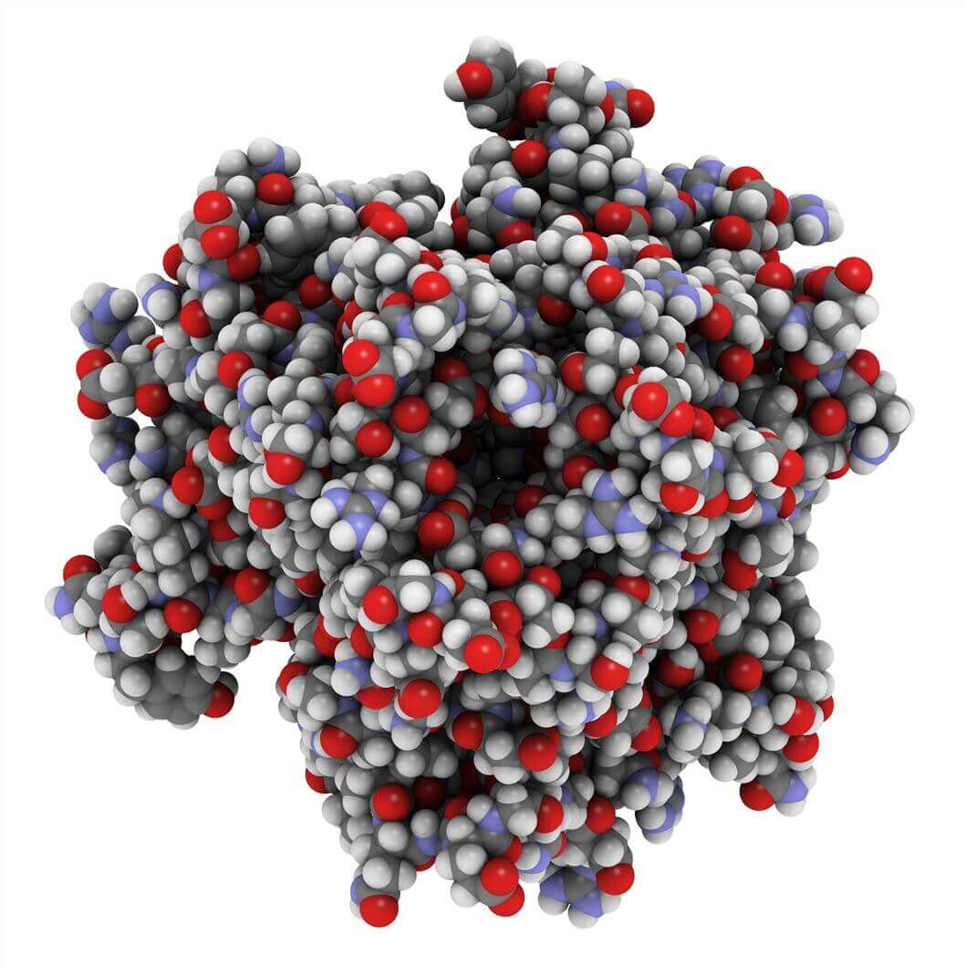 Tumor Necrosis Factors (TNF) Detection Service