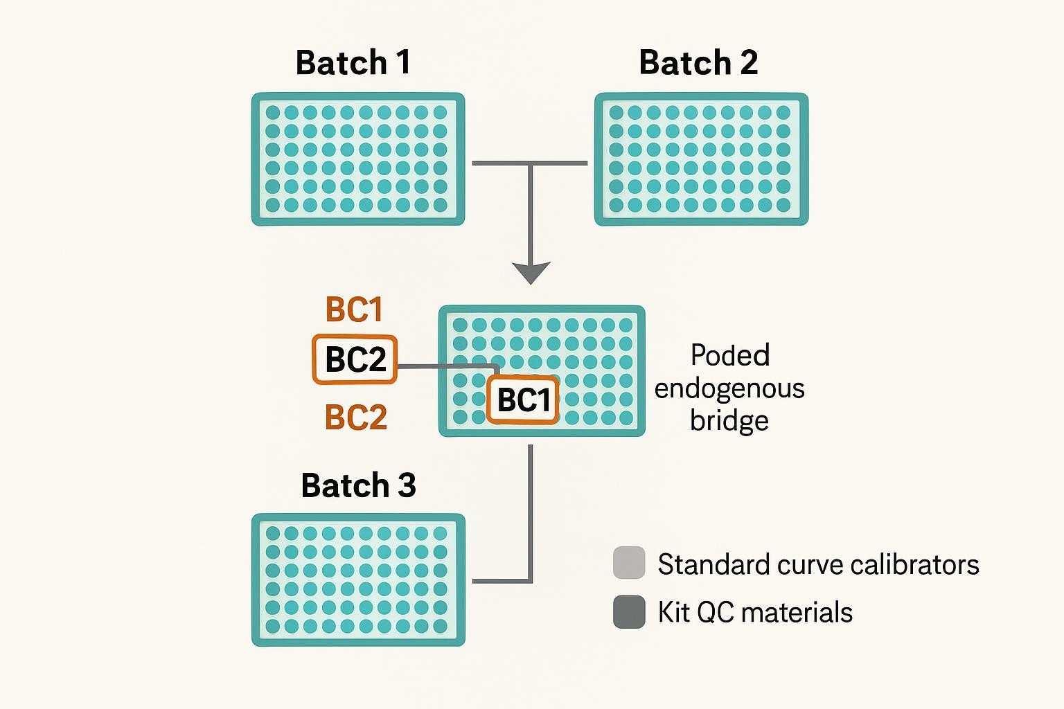Bridge controls linking plates and batches; calibrators and kit QCs shown separately