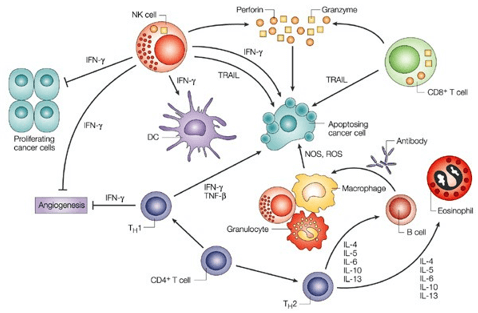 Cancer Cytokines Assay