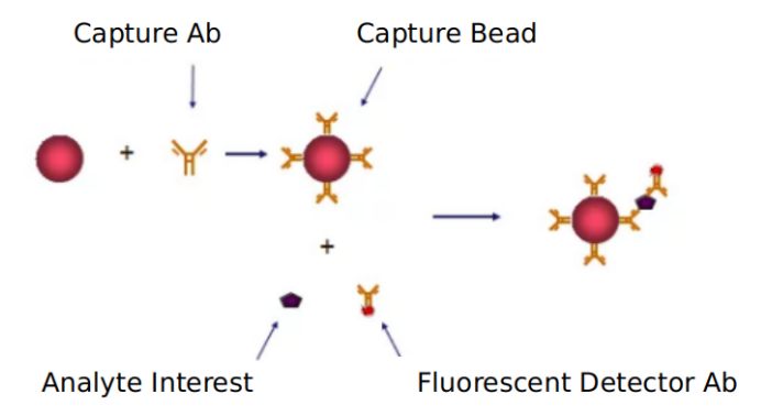 cdk-signaling-pathway-detection-service-2.png