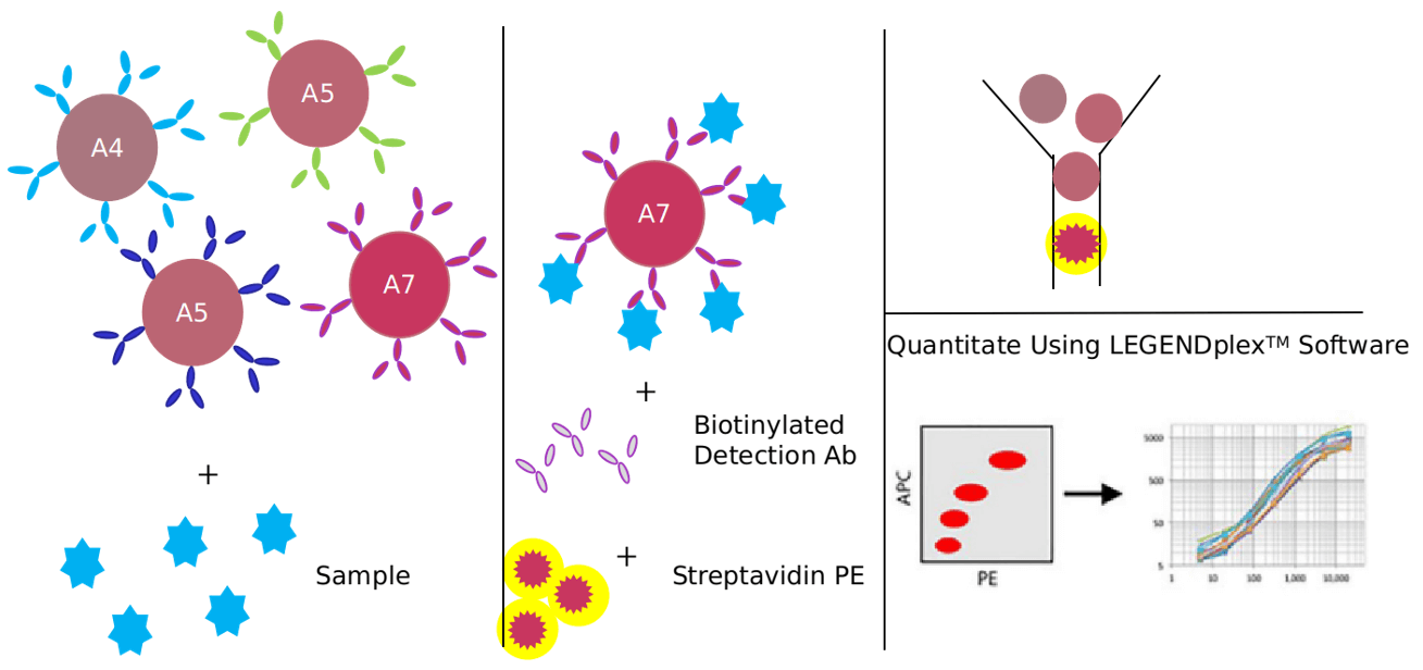 Advantages of chemerin signaling pathway detection