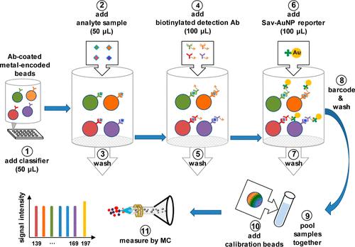 Comprehensive Guide to Cytokine Release Assays in Immunology and Biomedical Research