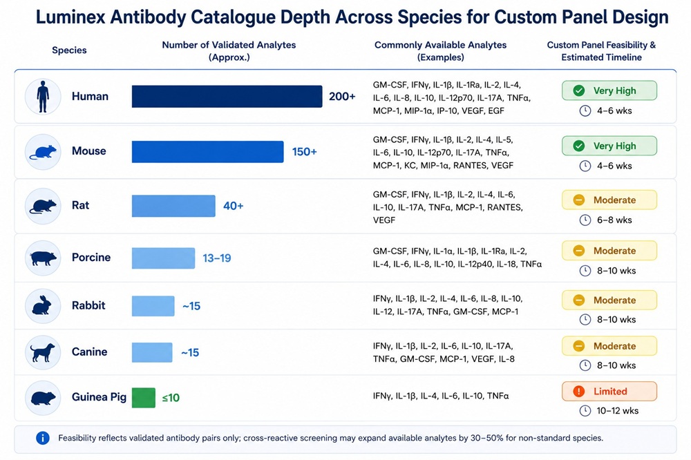 Bar chart comparing Luminex analyte availability across seven species from human to guinea pig with custom panel feasibility ratings.