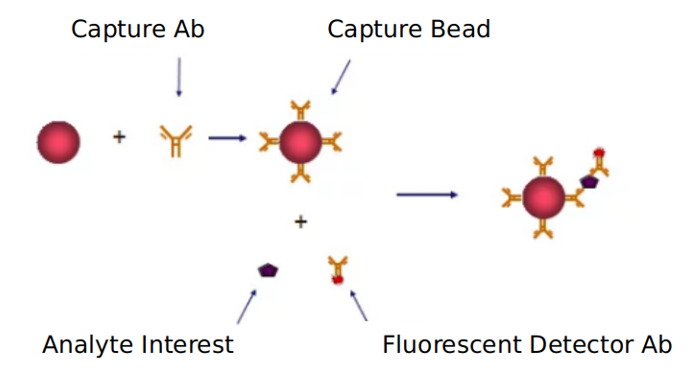 Advantages of death receptor signaling pathway detection