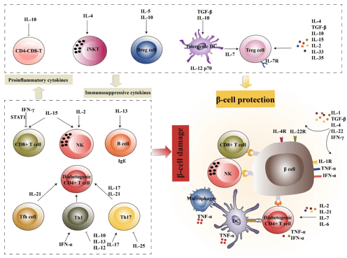 Diabetes Cytokines Assay