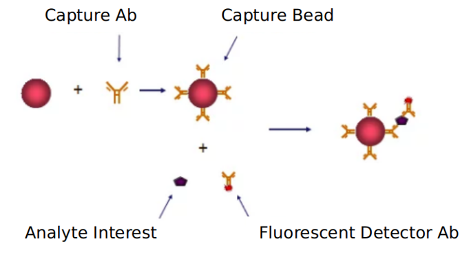 Advantages of ERFG signaling pathway detection