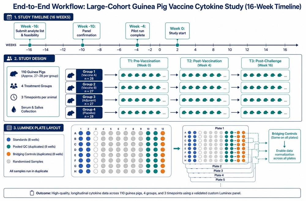 Guinea Pig Cytokine Research: Luminex Multiplex Assay Options and Experimental Design