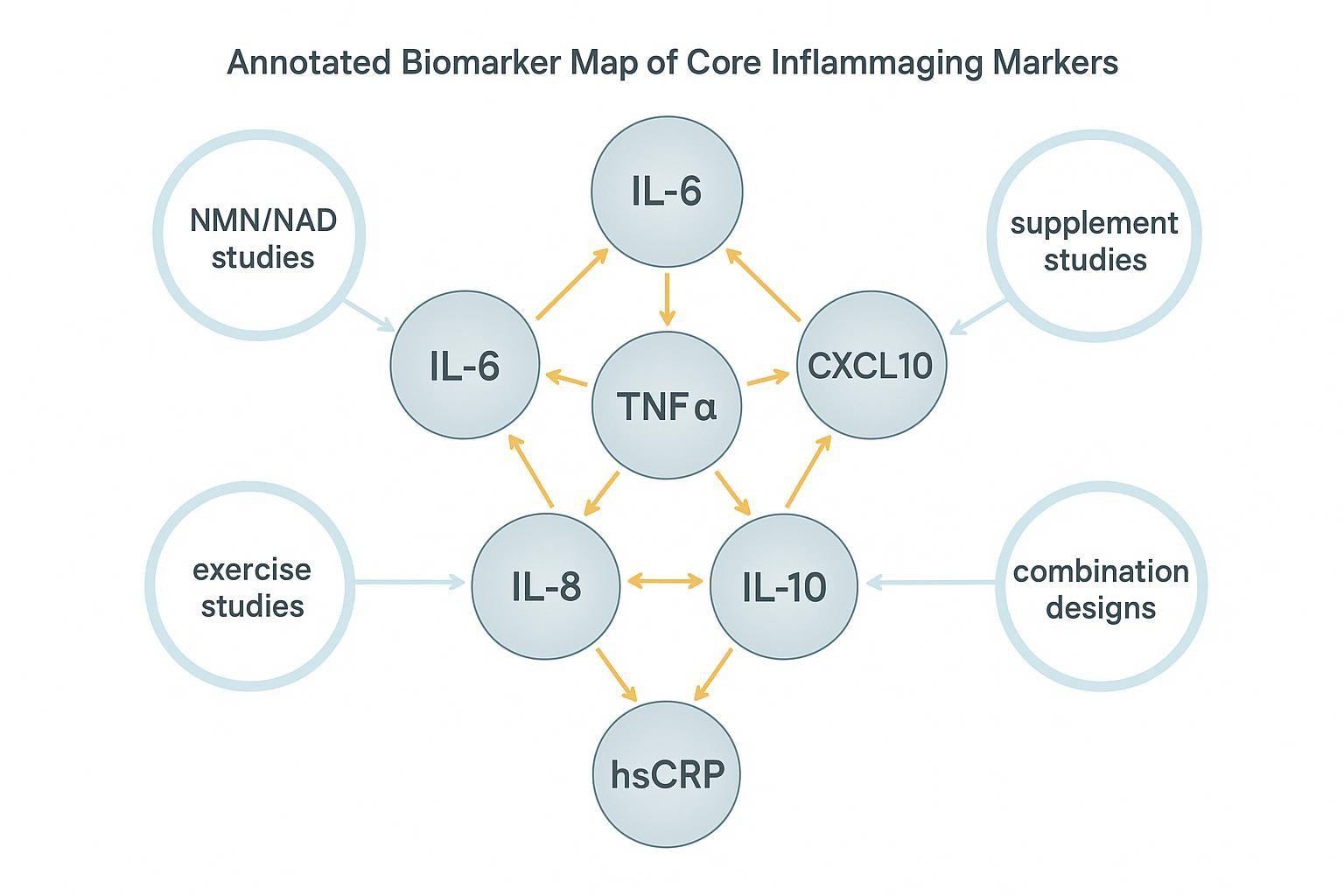 Annotated biomarker map linking core inflammaging markers to NMN, exercise, supplement, and combination study designs