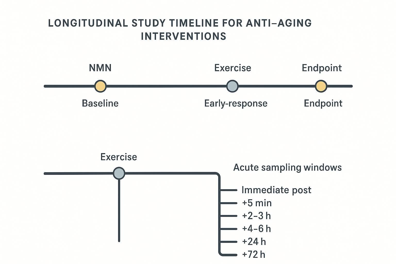 Study timing schematic showing baseline, early, mid, and end collections, with an acute exercise sampling branch