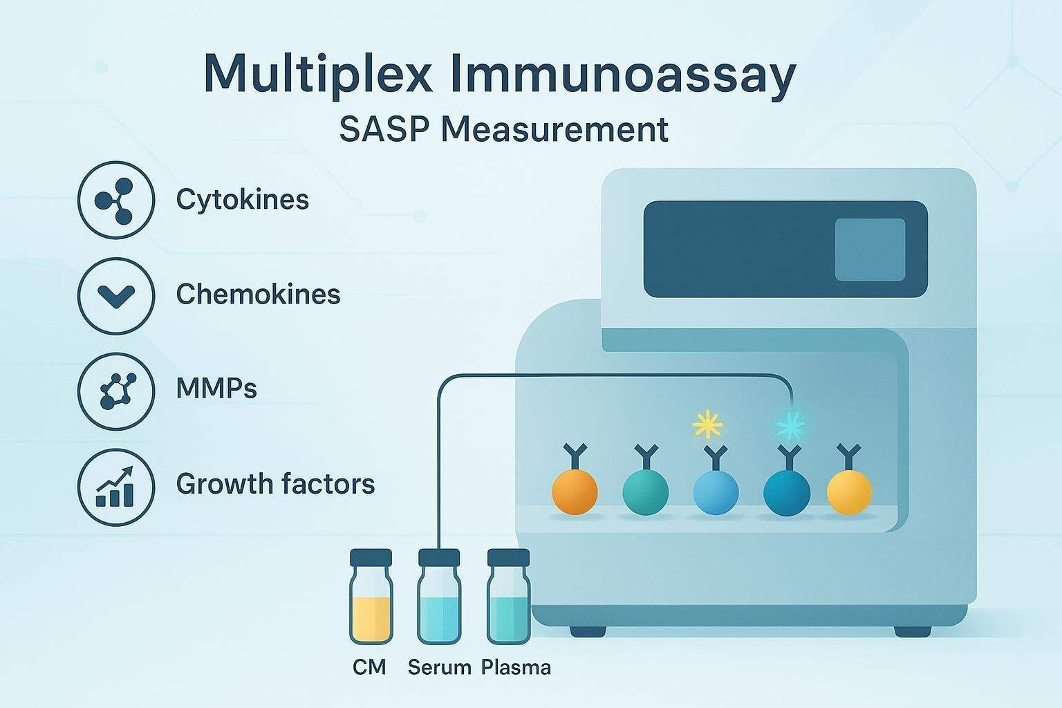 How to Measure the SASP: Designing Multiplex Biomarker Panels for Senescence and Senolytic Studies