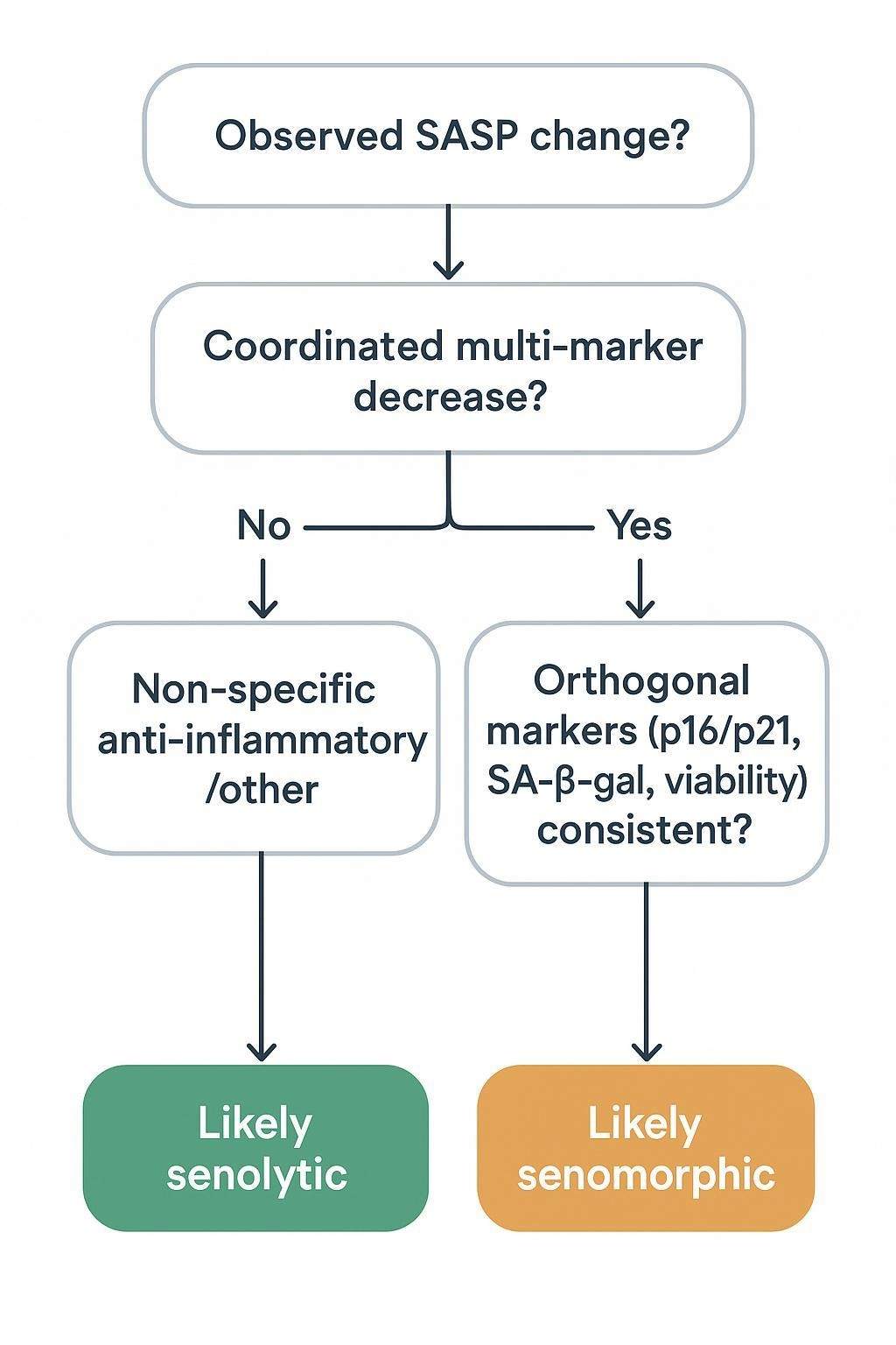 Decision flowchart for interpreting SASP panel changes alongside orthogonal senescence markers