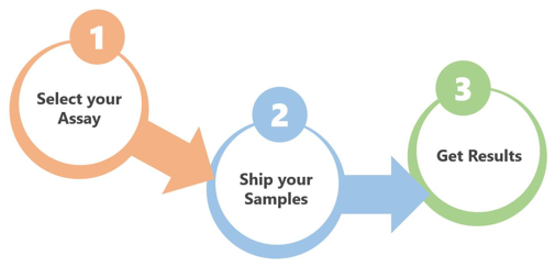 IL-1 Detection Service