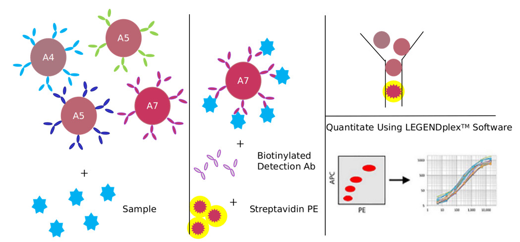 Advantages of IL-17 signaling pathway detection