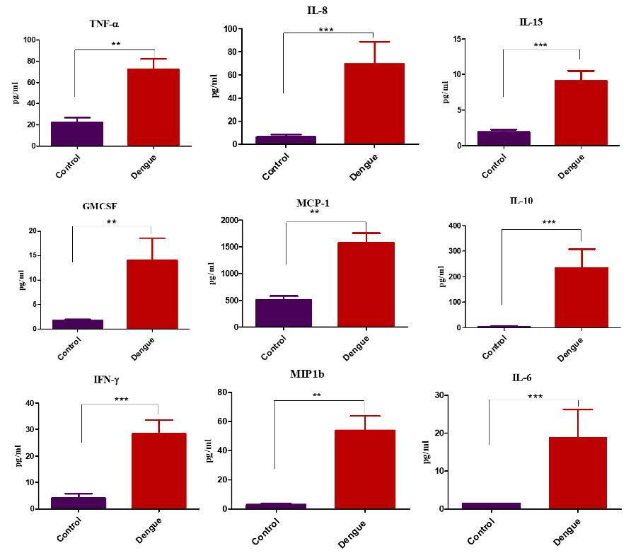 Cytokine levels in healthy controls and dengue positive subjects.