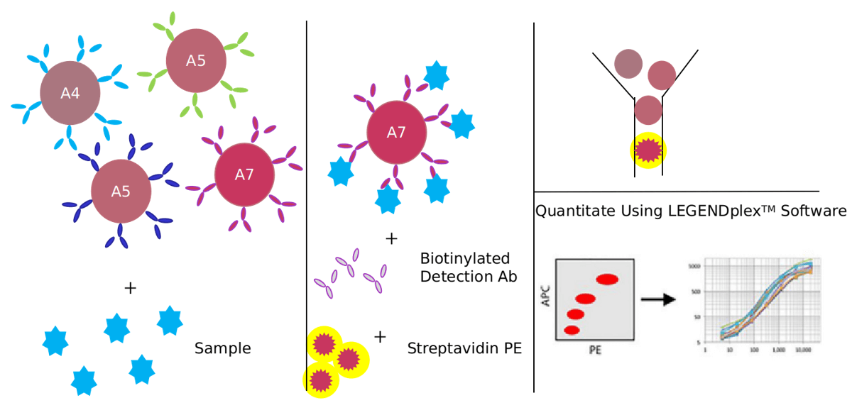 Advantages of IL-6 signaling pathway detection