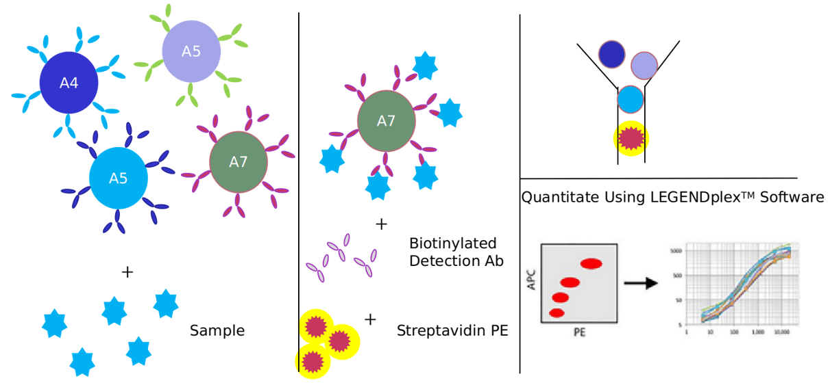 Cancer Biomarker Detection With Luminex Assays