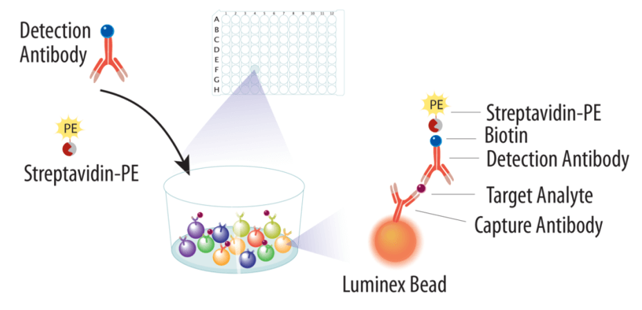 Cancer Biomarker Detection With Luminex Assays