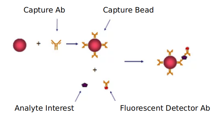 Advantages of MCP-1 signaling pathway detection