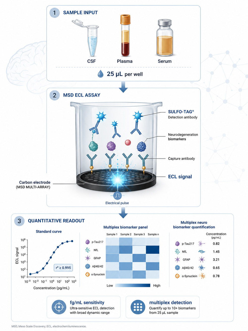MSD ECL Neurodegeneration Assay Workflow