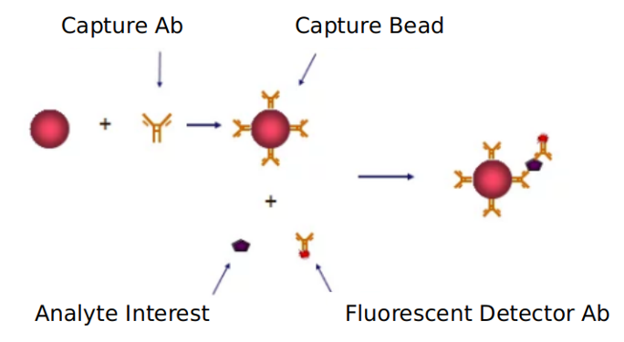 Advantages of NGF signaling pathway detection