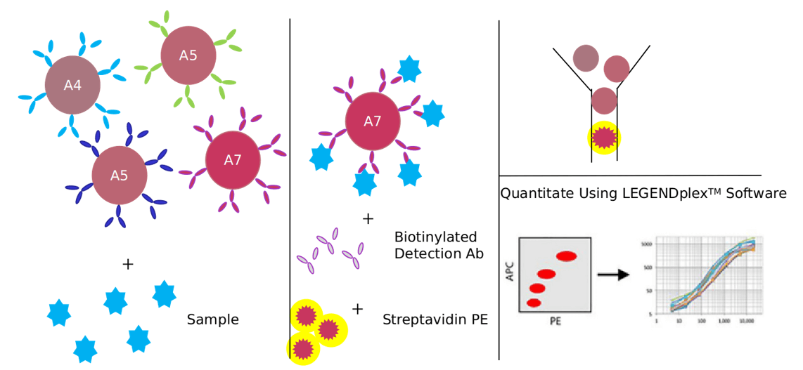 Advantages of notch signaling pathway detection