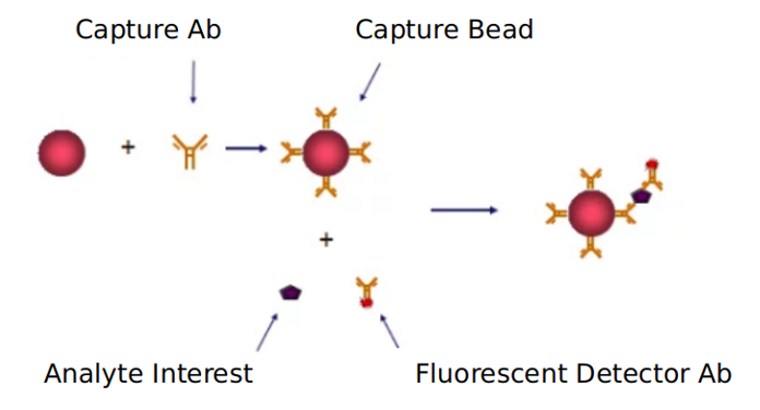 Advantages of obese signaling pathway detection