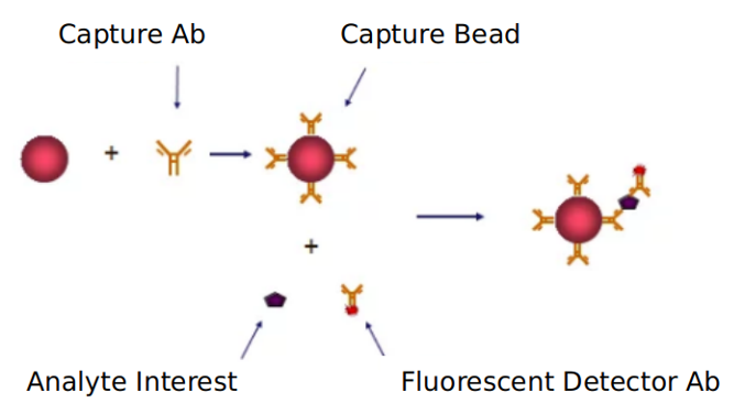 Advantages of omentin signaling pathway detection