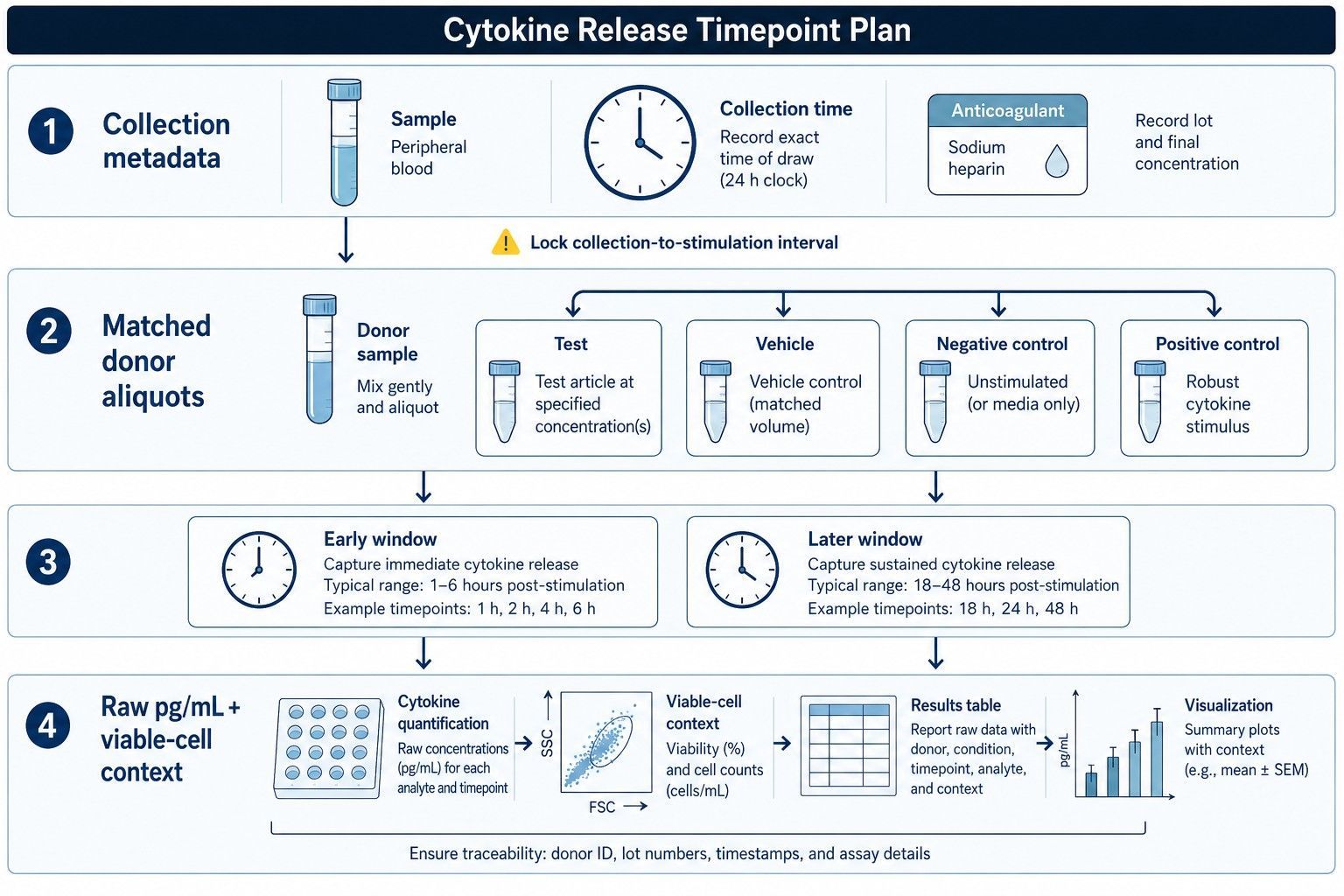 Cytokine release timepoint design from blood collection through standardization, stimulation, early and later sampling, controls, and reporting.