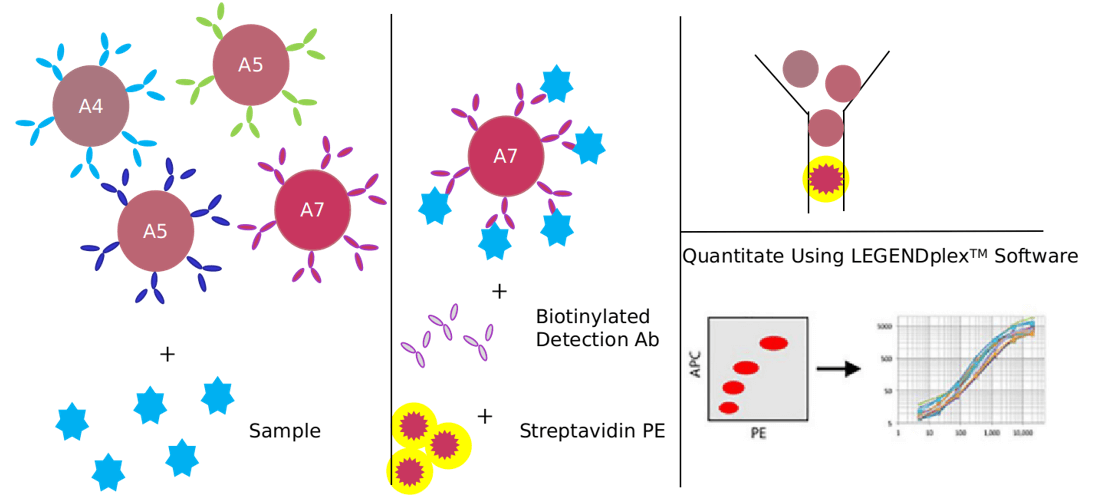 Advantages of pyroptosis signaling pathway detection