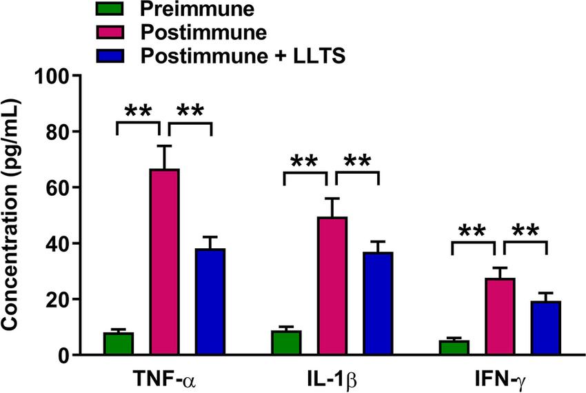 Serum levels of inflammatory cytokines in the rabbit