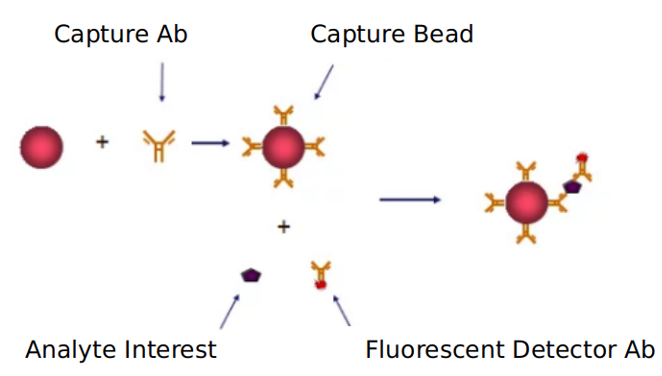 Advantages of RBP-4 signaling pathway detection