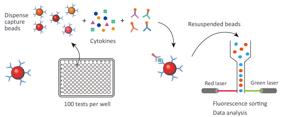 Saliva Cytokine Assay