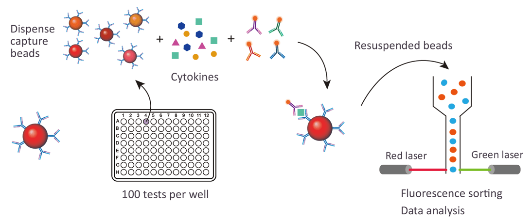 Serum and Plasma Cytokine Assay