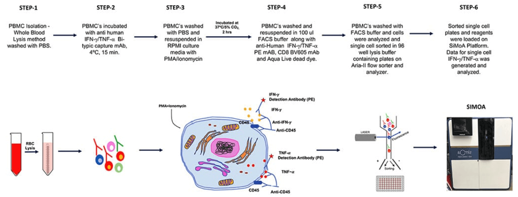 SiMoA schematic workflow showing stepwise procedures performed to quantify cytokines in single cells