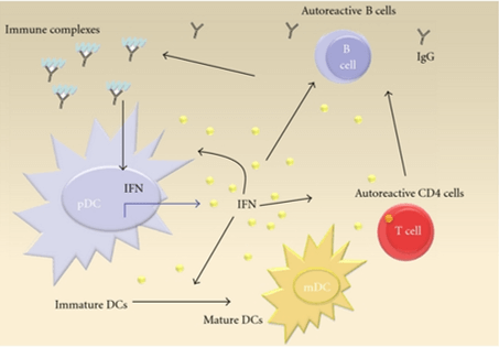 Systemic Lupus Erythematosus Cytokines Assay