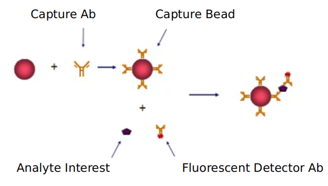 Advantages of TCR cell signaling pathway detection