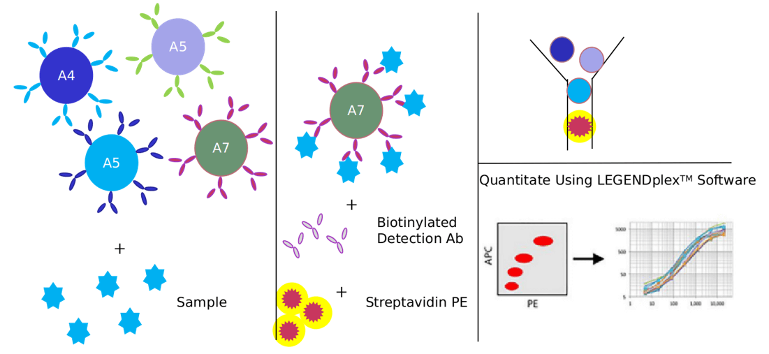 Advantages of TGF-beta signaling pathway detection