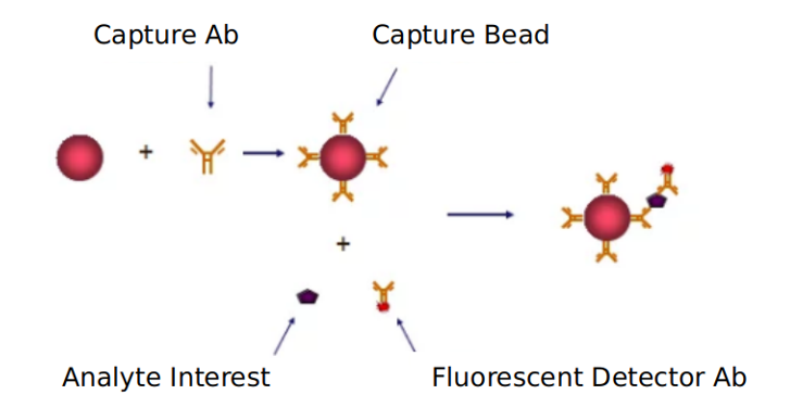 Advantages of TNF cell signaling pathway detection