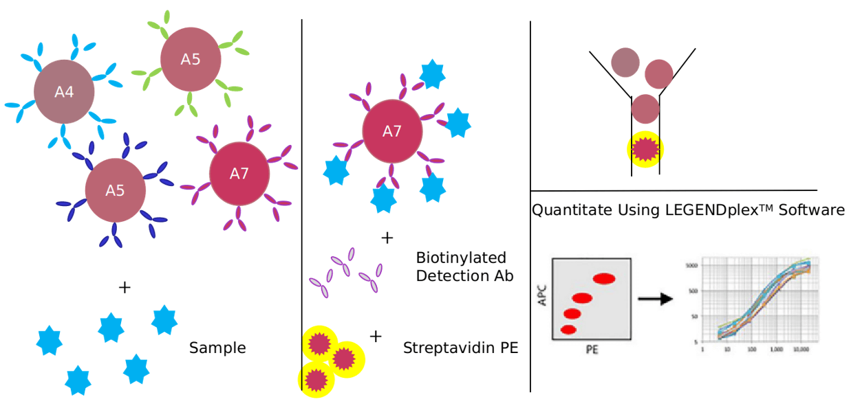 Advantages of TNF-α signaling pathway detection